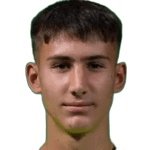 Vuk Draškić